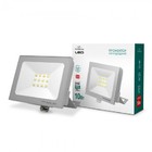 LED прожектор TITANUM 10W 6000K 220V