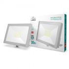 LED прожектор TITANUM 30W 6000K 220V