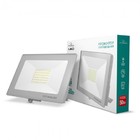 LED прожектор TITANUM 50W 6000K TLF506 220V