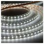 Лента LED LS704/LED-RL 60SMD(3528)/m 220V, 4.4W/m 12*7mm белая IP68, min 100m