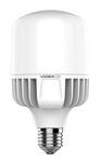 LED лампа VIDEX A100 30W E27 5000K 220V