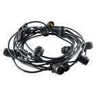 Гірлянда для світлодіодних ламп BIOM GRLD-700 IP67 E27*20, 100W, 10,5м