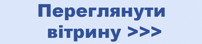 Вітрина магазину 220i380